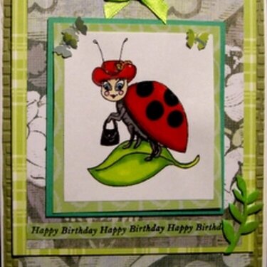 Lady Bug birthday card