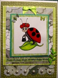 Lady Bug birthday card