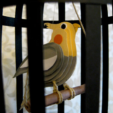 3-D Bird in a Cage