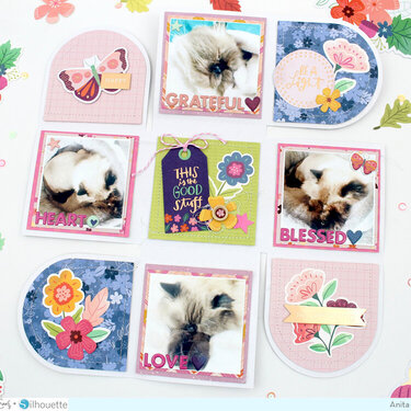 Kitty mini album