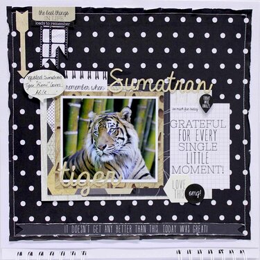 Sumatran Tiger Calendar layout for Kaisercraft