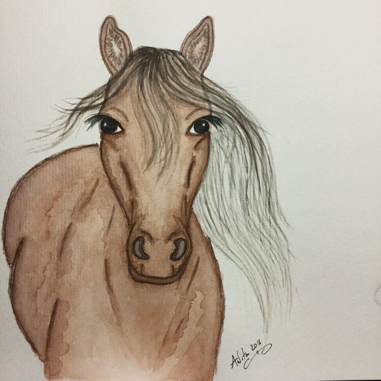 Horse watercolour