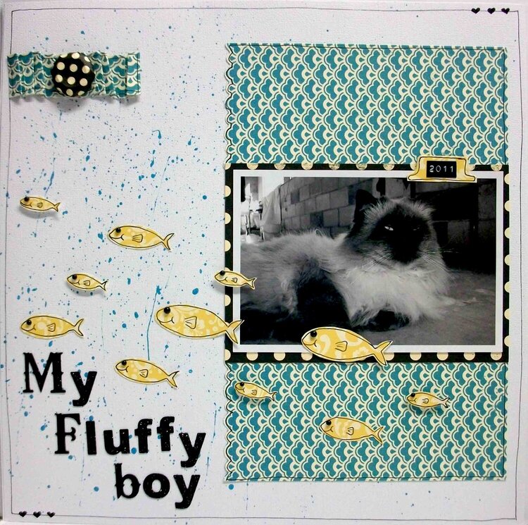 my fluffy boy