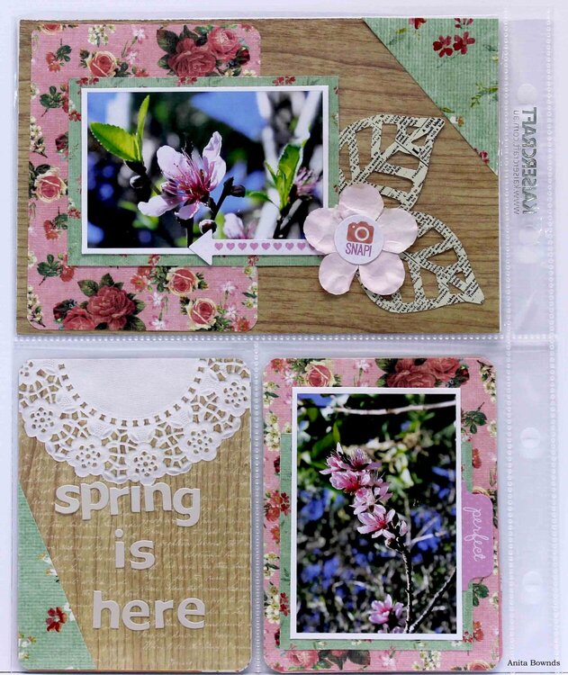 spring is here  - DT Captured Moments for Kaisercraft