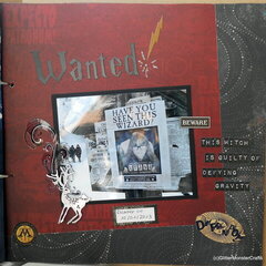 Wanted ! [Harry Potter Mini Album]