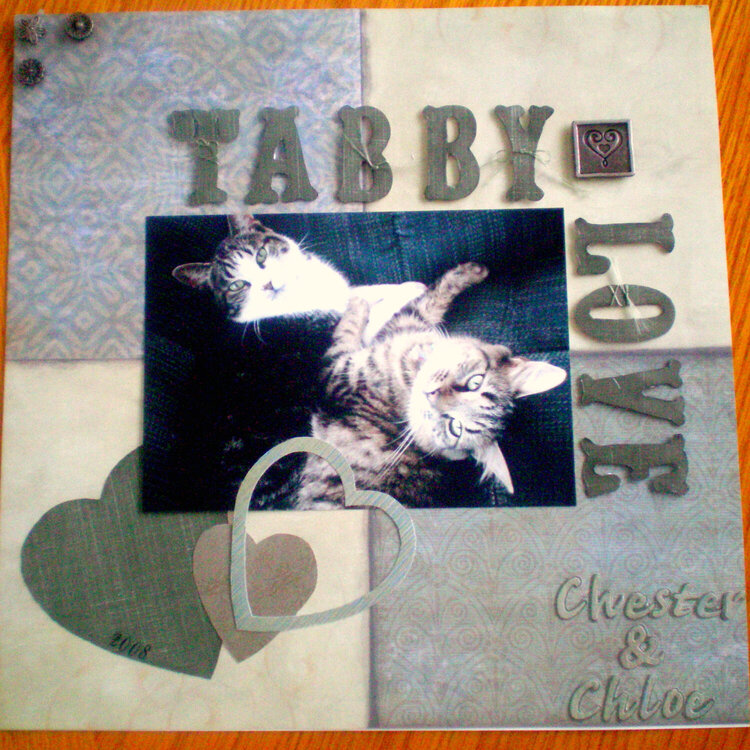 tabby love