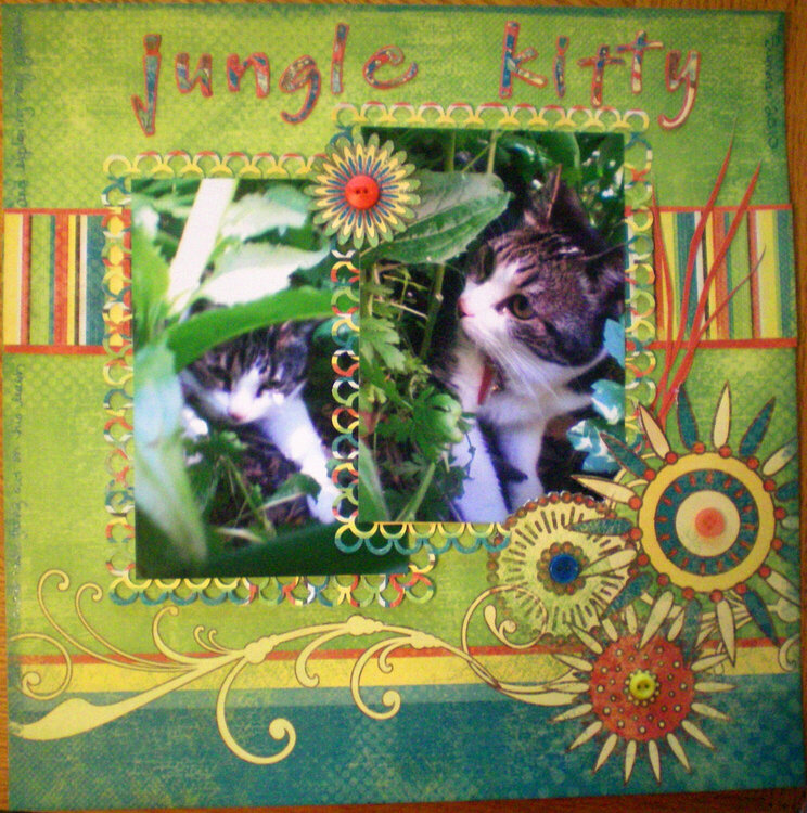 jungle kitty