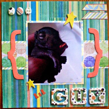 lil guy-for 8x8 gift album
