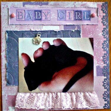 baby girl-for 8x8 gift album