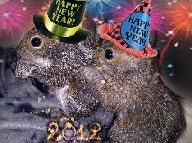 Wishing all my scrappy friends a Happy New Year!!
