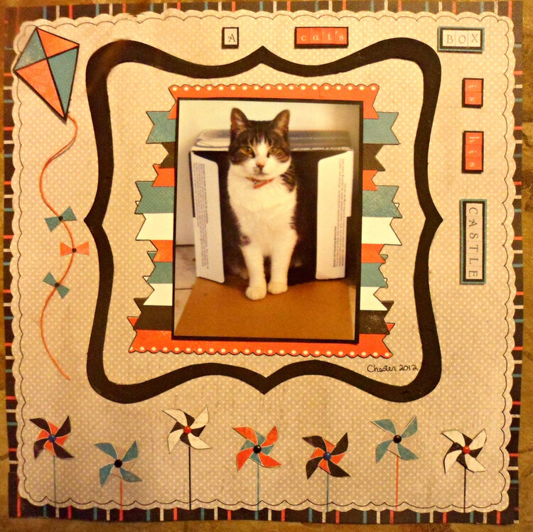 A Cat&#039;s Box is his Castle