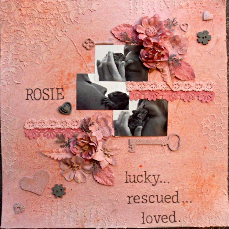 Rosie: lucky...rescued...loved.