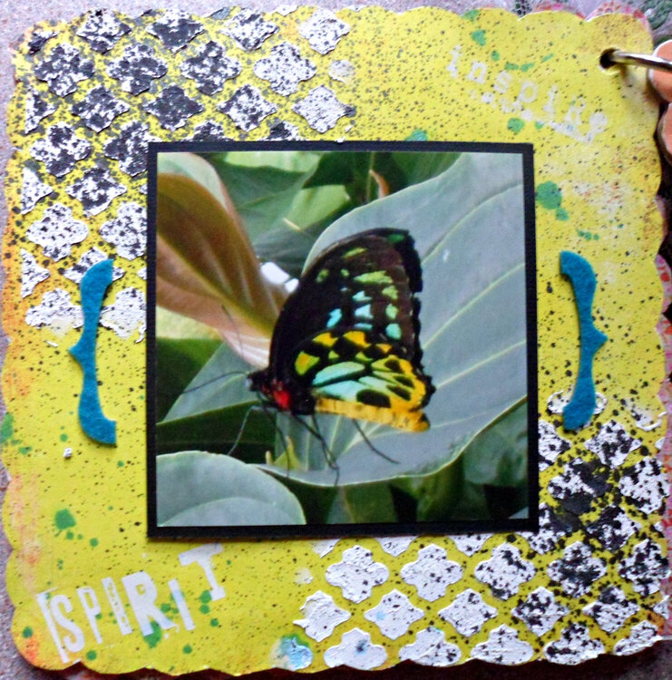 Niagara Butterfly Conservatory Sept 2013 mini-album