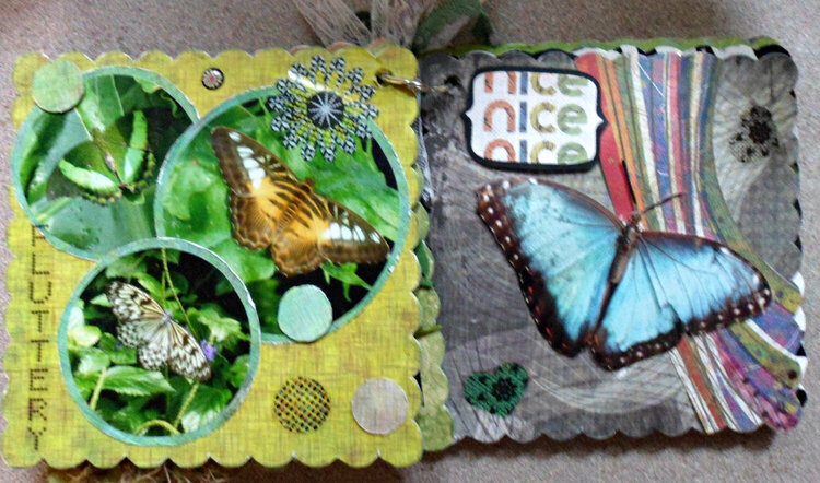 Niagara Butterfly Conservatory Sept 2013 mini-album