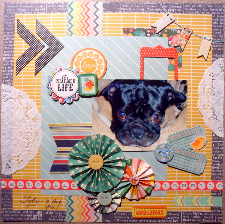 Toby-love that face! For the Oct Scrap Your Pet Challenge