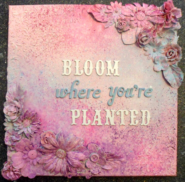 Bloom where you&#039;re planted