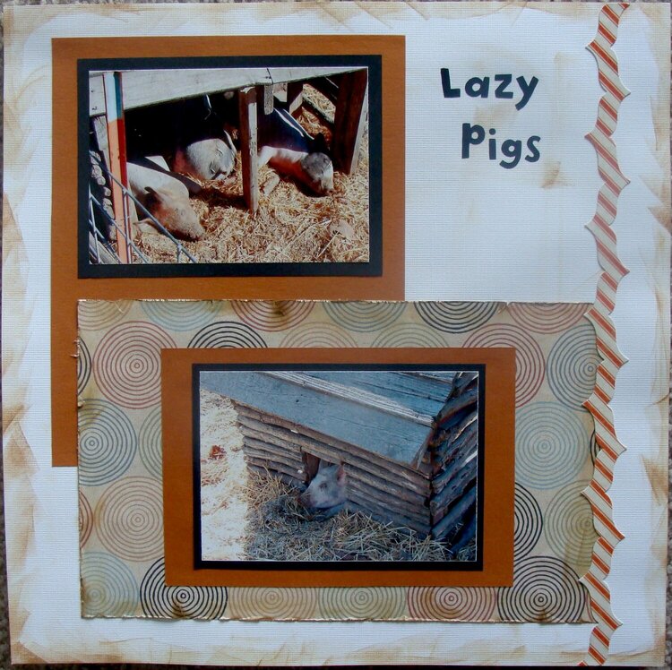 Lazy Pigs