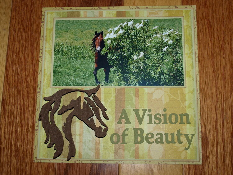 A Vision of Beauty
