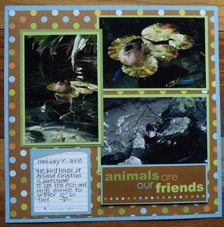 Animals are our Friends
