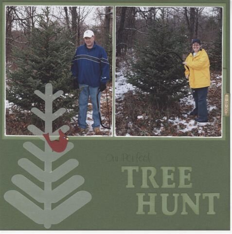 Our Perfect Tree Hunt