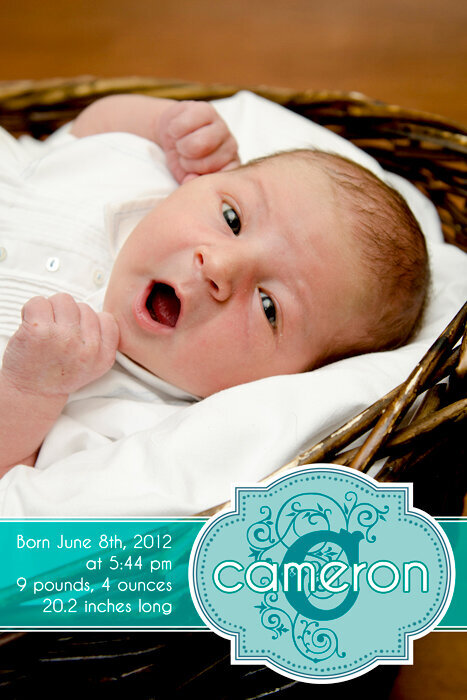 Back of Cameron&#039;s Birth Announcement - Basket
