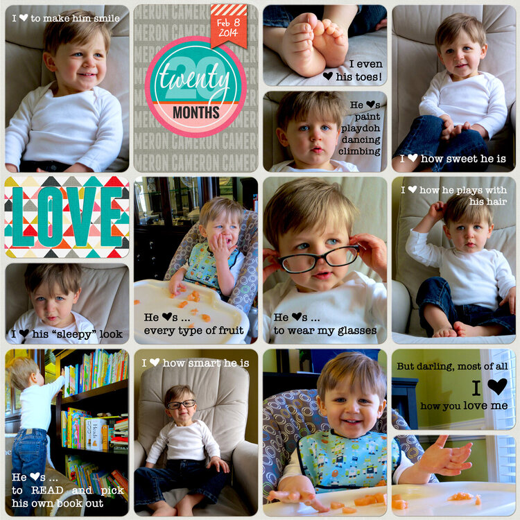 Project Life 2014 (Week 6, Day 6): Cameron 20 months