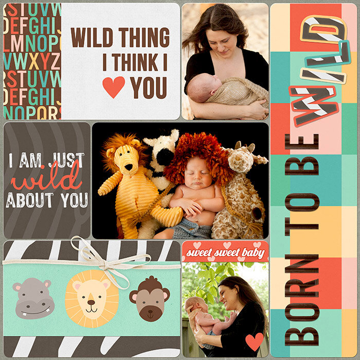 Born to be Wild - amy schneider