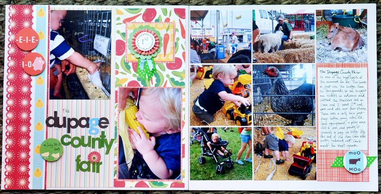 The Dupage County Fair