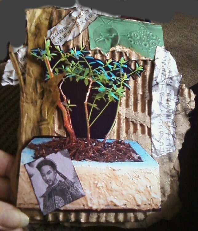 Oriental Bonsai Theme Recycled Father&#039;s Day Card