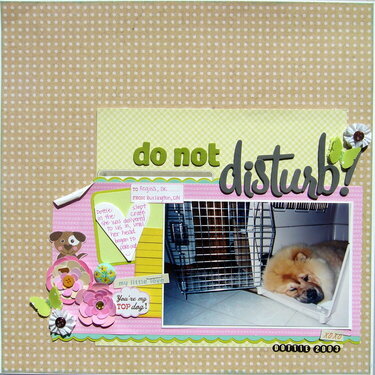 Do Not Disturb!