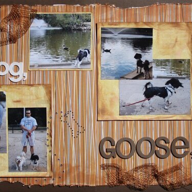 Dog, Dog, Goose!