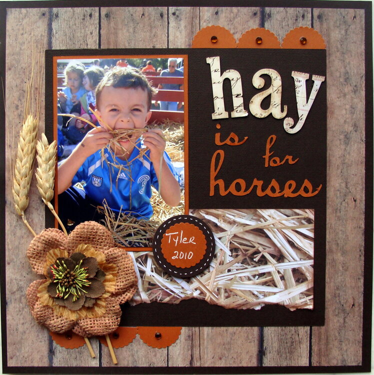 hay is for horses