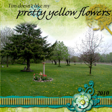pretty yellow flowers