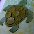 Turtle Canvas