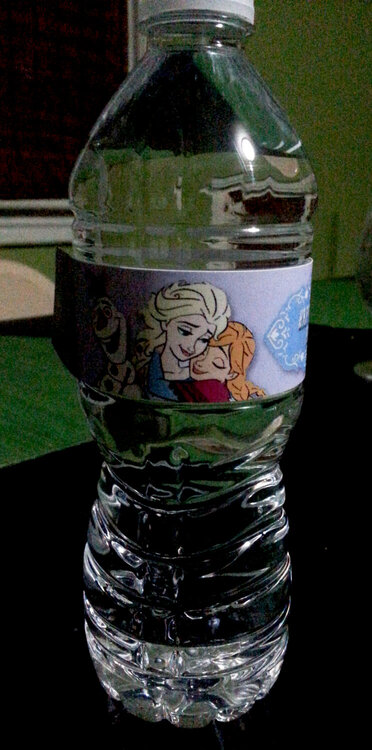 Frozen Water Bottle