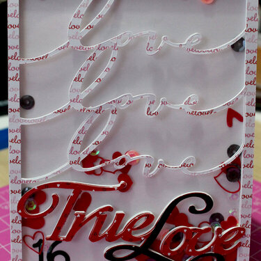 True Love- She&#039;s A Sassy Lady DT Project