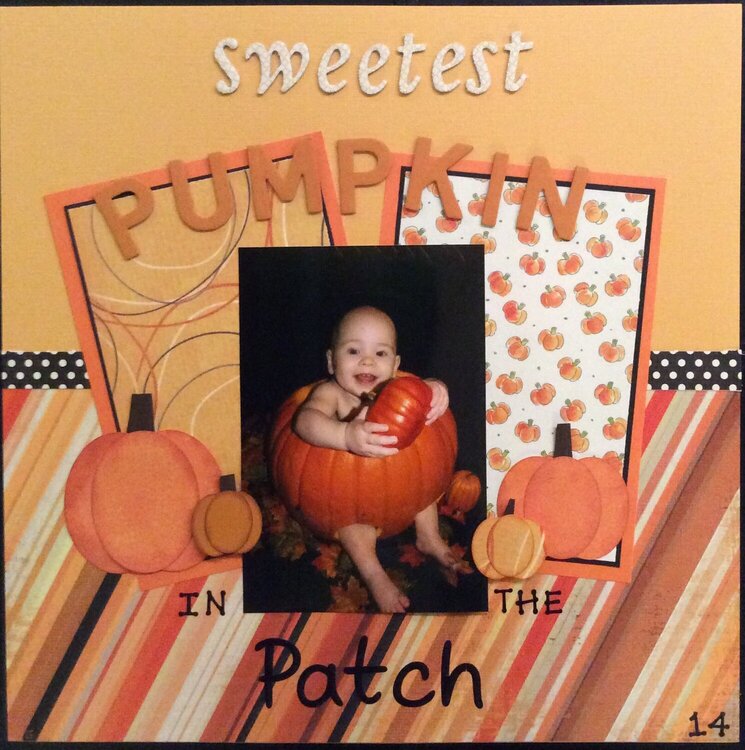 Sweetest pumpkin in the patch