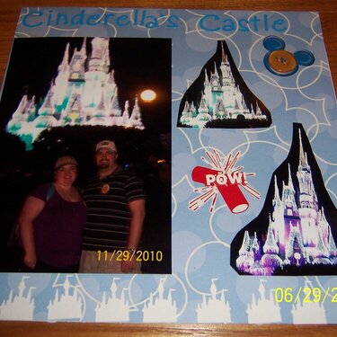 Cinderella&#039;s Castle at Night