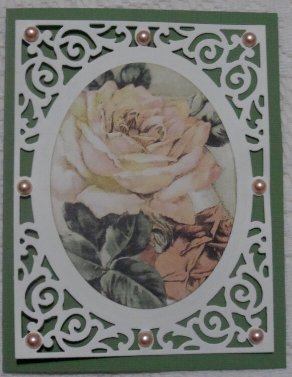 Ladies Diary Rose Card