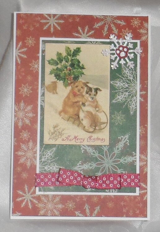 Christmas Paws Card