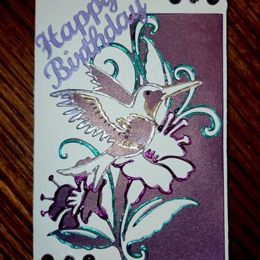 Humming Bird Birthday Card