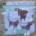 The Dog Bone Times