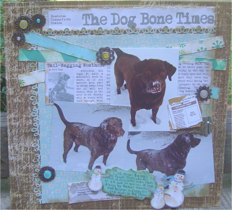 The Dog Bone Times