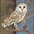 Tattered Angels Owl Card