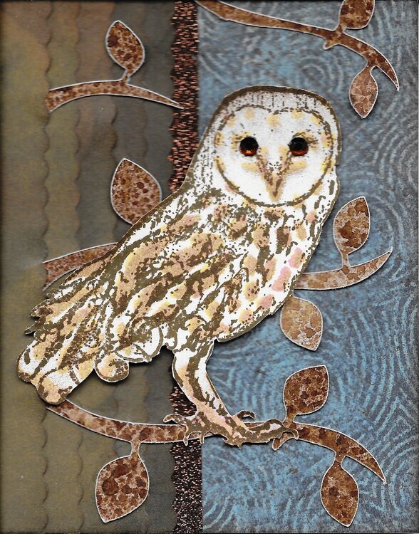 Tattered Angels Owl Card