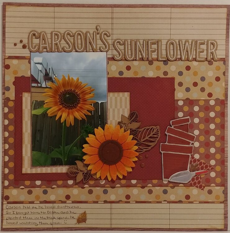Carson&#039;s sunflower