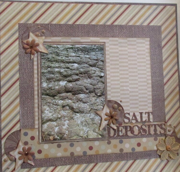 Salt deposits
