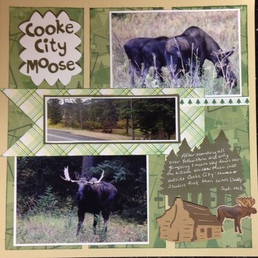 Cooke City Moose