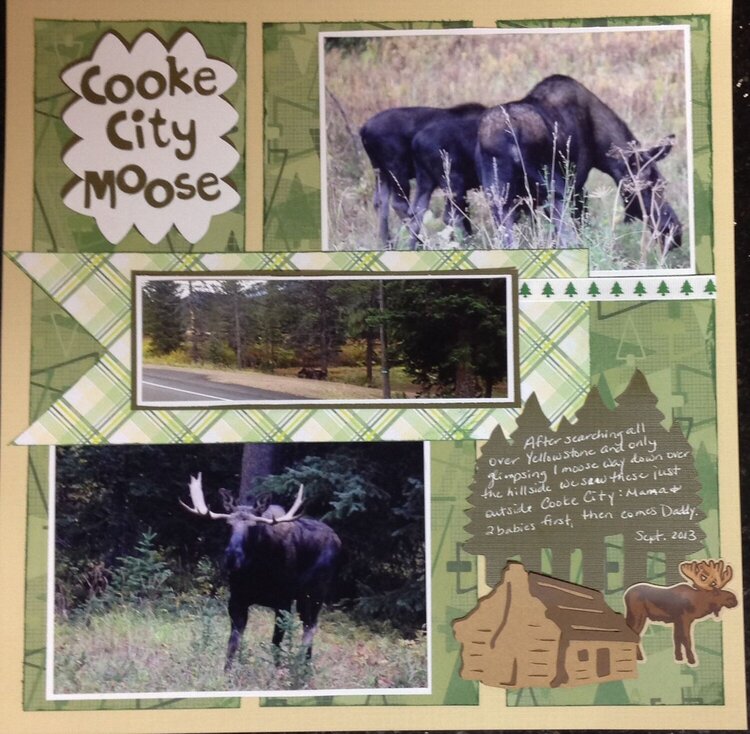 Cooke City Moose