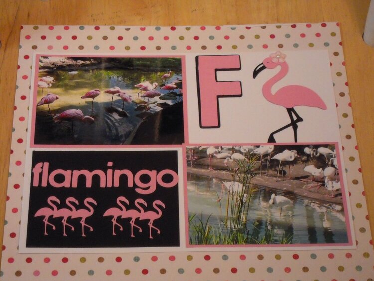 F - Flamingo